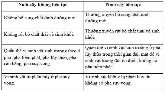 So sánh nuôi cấy liên tục và không liên tục: Bí quyết lựa chọn phương pháp hiệu quả