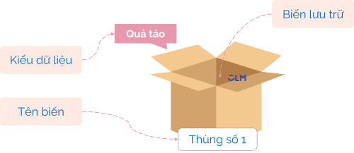 Minh họa biến trong thực tế