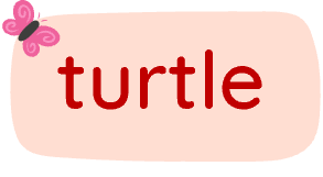 turtle olm