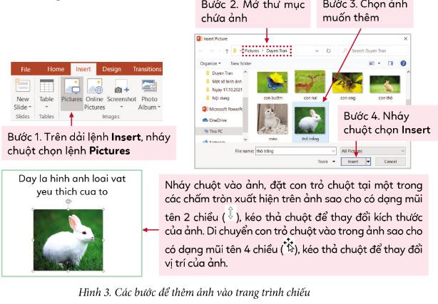 Để Thêm Ảnh Vào Trang Trình Chiếu, Em Hãy Thực Hiện Theo Các Bước Như Ở Hình  3 Sau Đây: - Olm