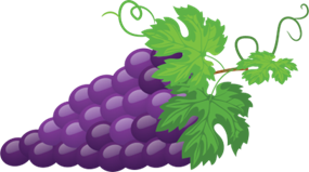 grapes olm