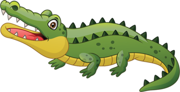 crocodile olm