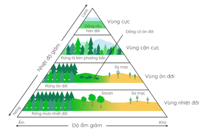 khu sinh học trên cạn olm