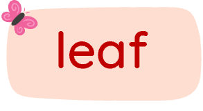 leaf olm