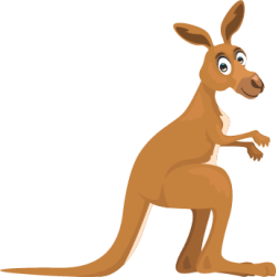 kangaroo olm