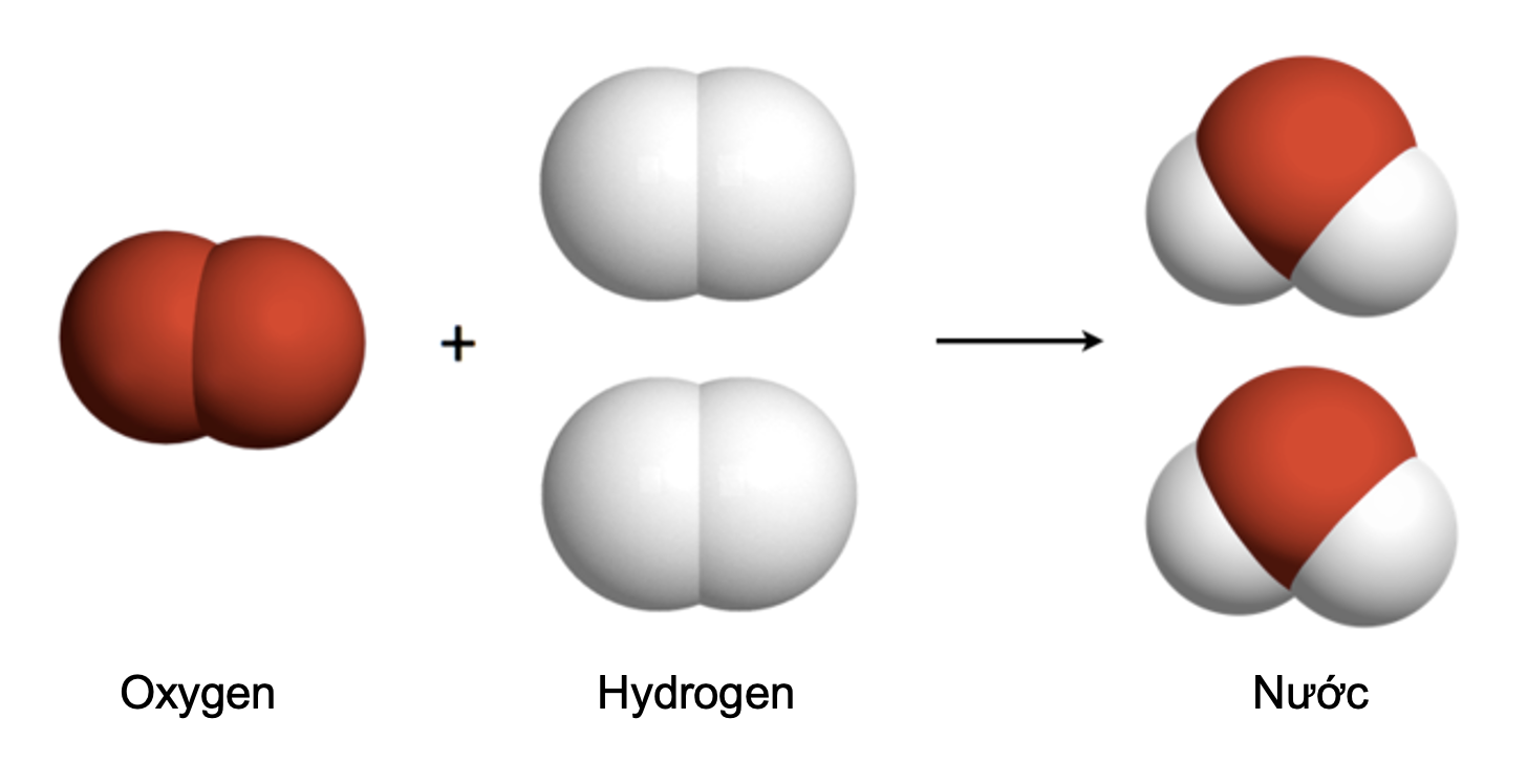 Phản ứng hoá học và năng lượng của phản ứng hoá học