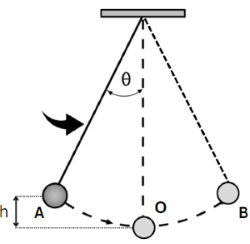 con lắc đơn olm
