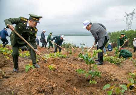 Trồng cây gây rừng.olm