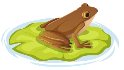 ếch olm