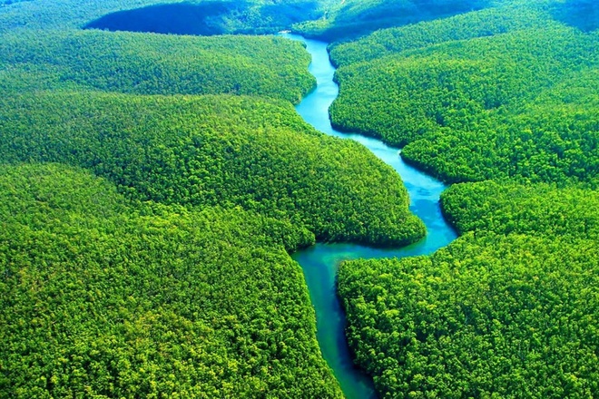 Thiên nhiên kỳ thú ở rừng Amazon - Địa điểm du lịch