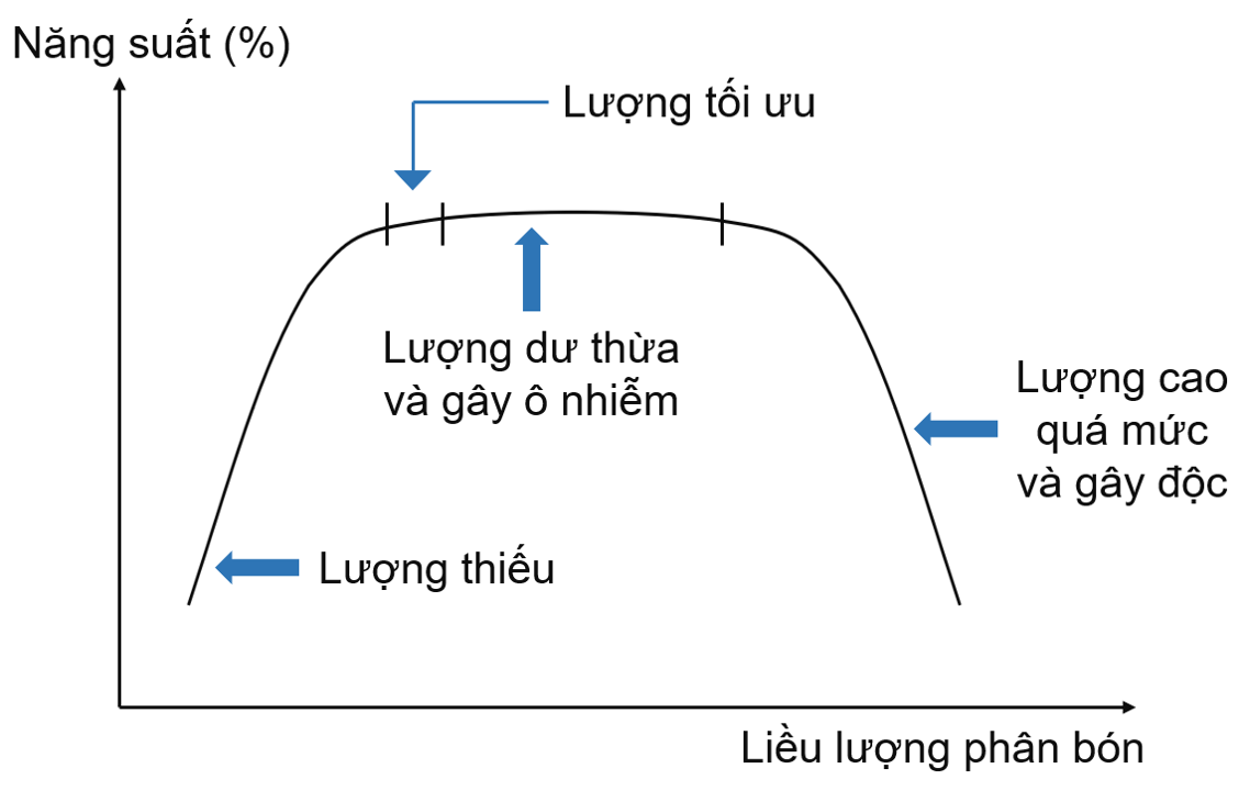 Mối quan hệ giữa phân bón và năng suất cây trồng