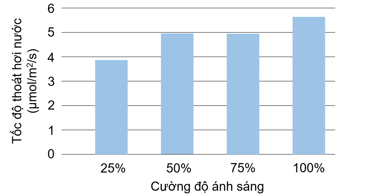 Ảnh hưởng của cường độ ánh sáng đến tốc độ thoát hơi nước của lá cây xô thơm