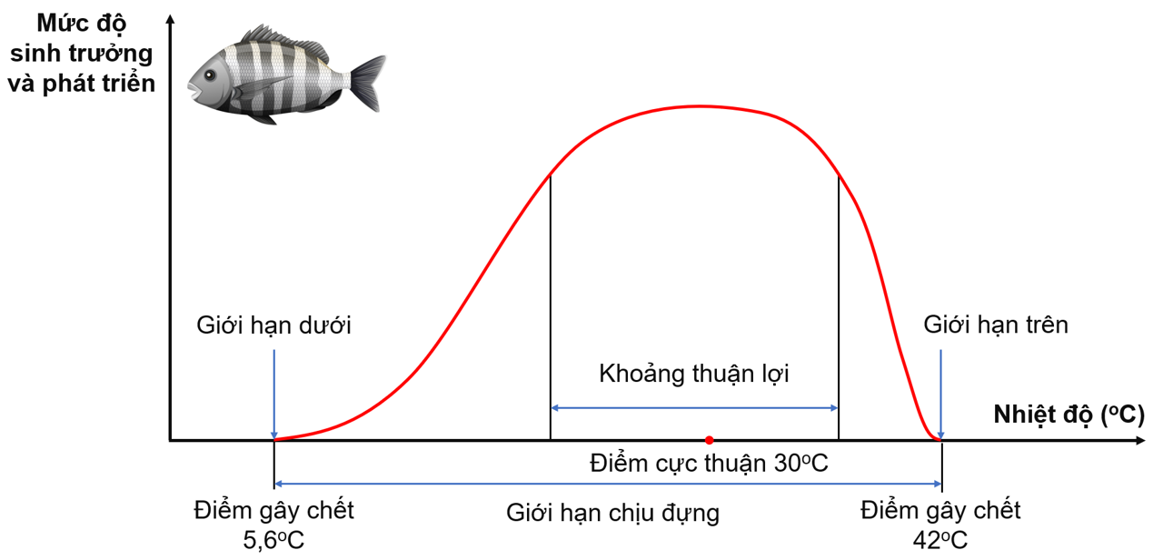 Sơ đồ mô tả giới hạn sinh thái về nhiệt độ của cá rô phi