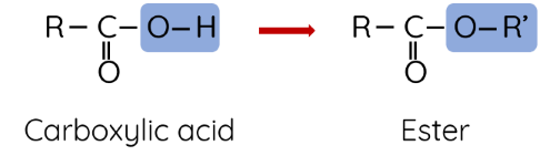 Hóa học 12, Sự hình thành ester từ acid