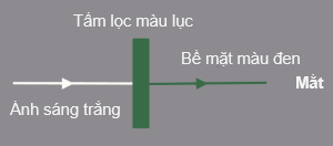 tấm lọc màu lục olm