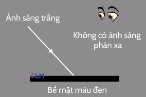 hấp thụ ánh sáng olm