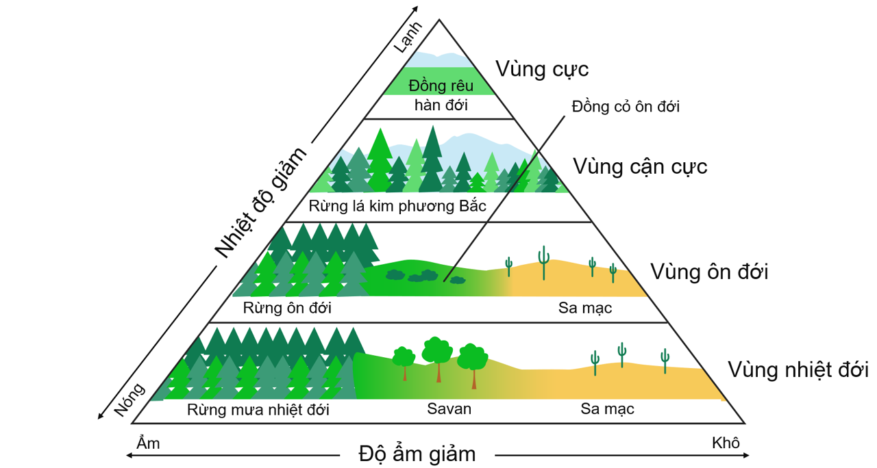 Các khu sinh học trên cạn