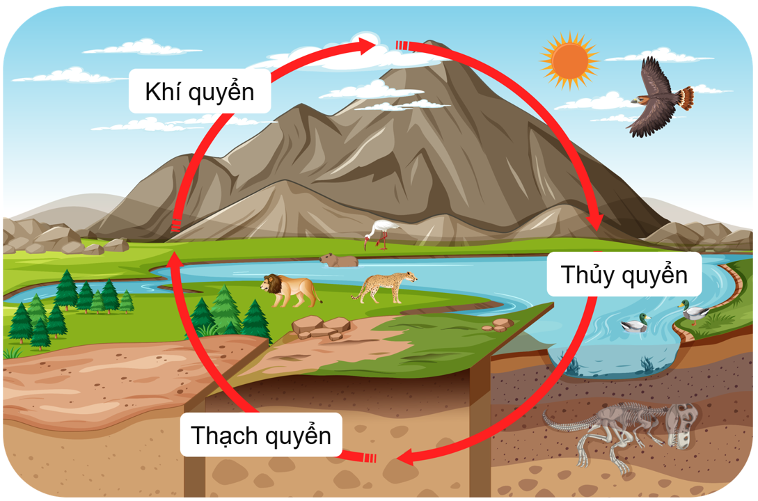 Khu sinh học là gì? - Khám phá các hệ sinh thái đa dạng trên Trái Đất