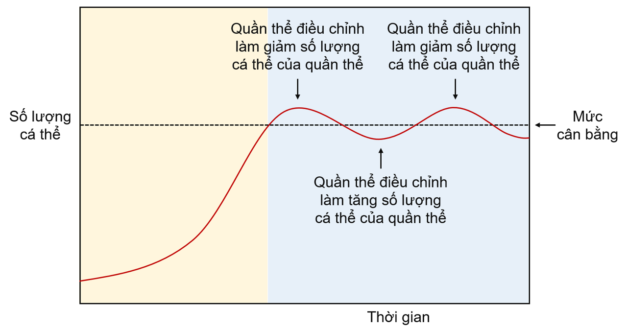 Khả năng tự điều chỉnh số lượng cá thể của quần thể