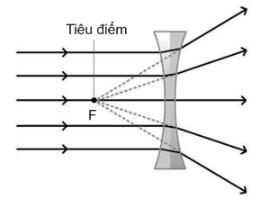 thấu kính phân kì olm