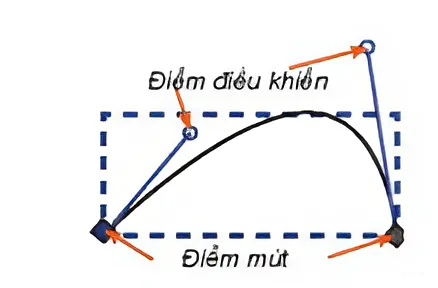 OLM Tin 10 Kết nối - Bài 14