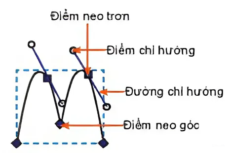 OLM Tin 10 Kết nối - Bài 14