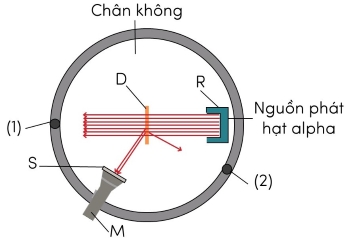 vật lí, lớp 12, hình vẽ mặt cắt thí nghiệm Rutherford