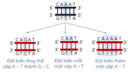 Sinh học 12, đột biến gene