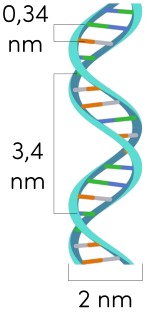 Khoa học tự nhiên 9 DNA olm