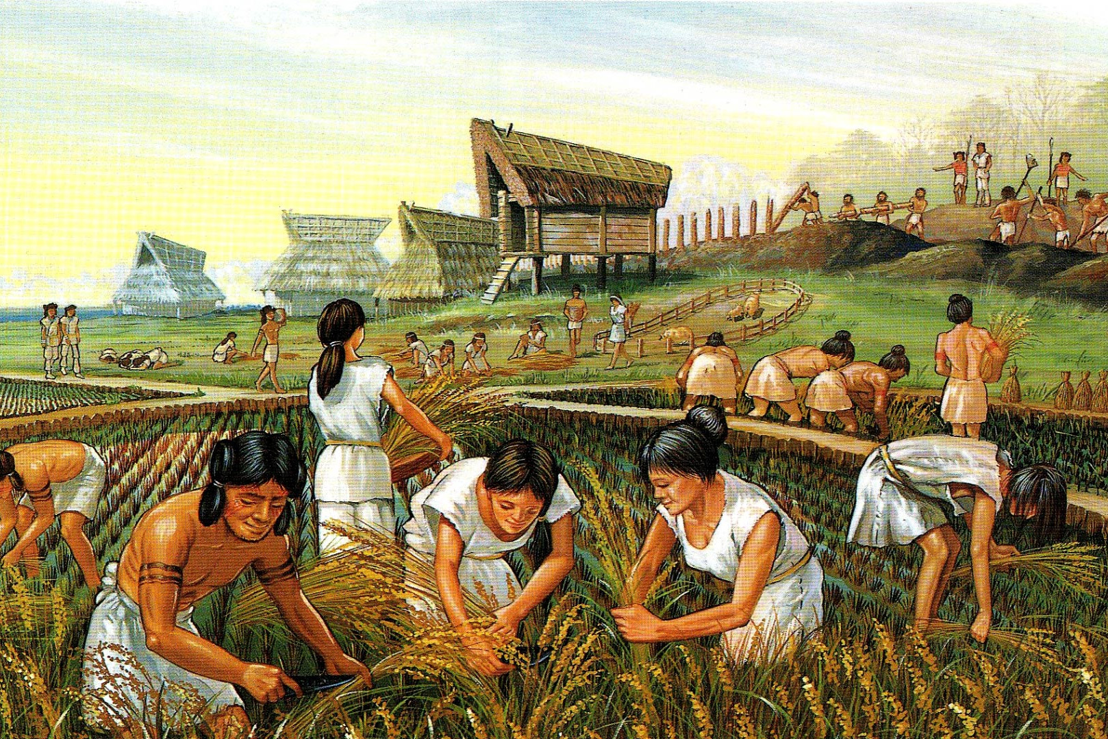 Xã hội nông nghiệp