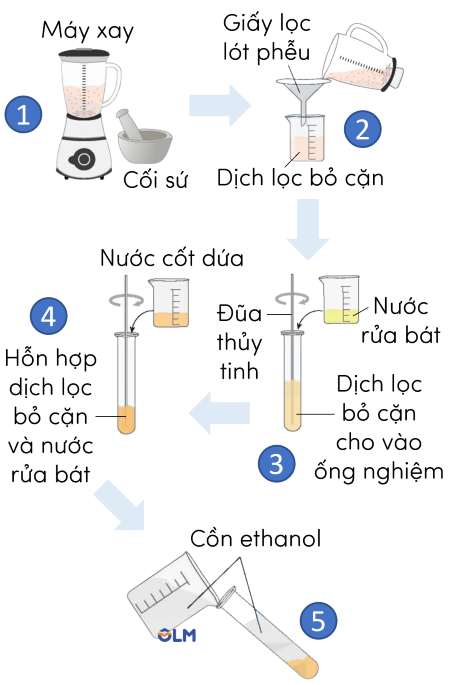 thực hành tách chiết DNA olm