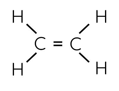 KHTN 9, Ethylene, olm
