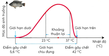 Ảnh hưởng của nhiệt độ đến sự sinh trưởng và phát triển của sinh vật, khoa học tự nhiên 7, olm