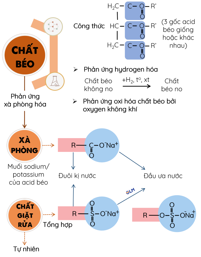 KHTN 9,  Hệ thống hóa kiến thức chất béo, olm