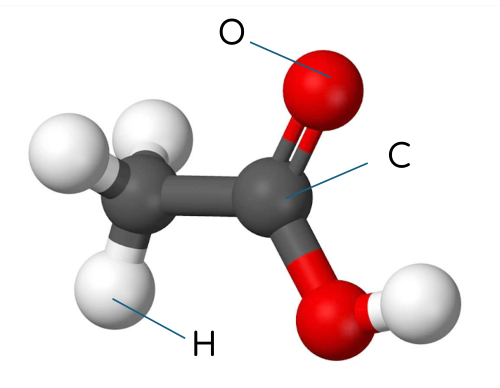 KHTN 9, Mô hình phân tử acetic acid, olm