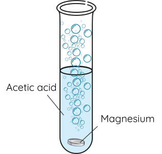 KHTN 9, Acetic acid phản ứng với magnesium, olm