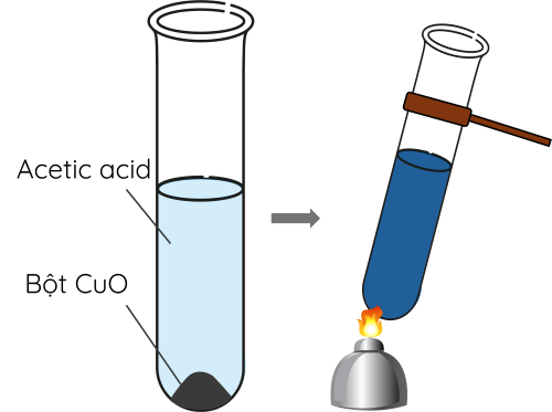 KHTN 9, Acetic acid phản ứng với CuO, olm