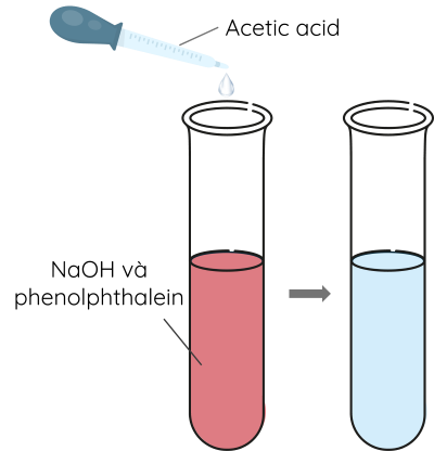 KHTN 9, Acetic acid phản ứng với NaOH, olm