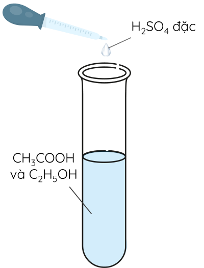 KHTN 9, Phản ứng ester hóa, olm