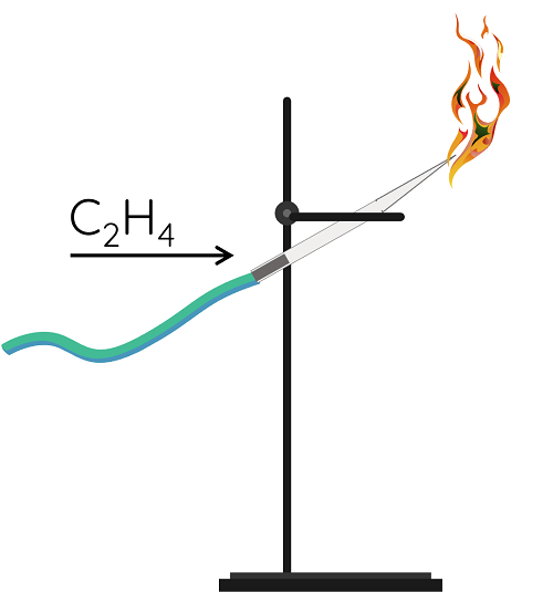 KHTN 9, Đốt cháy ethylene, olm