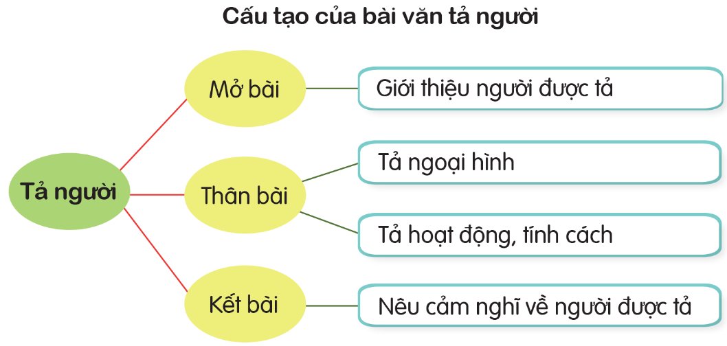 Cấu tạo của bài văn tả người OLM