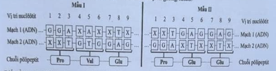 câu 111 - đề chính thức mã 223 olm