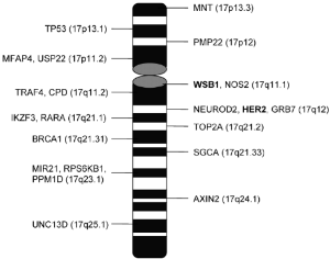 khoa học tự nhiên 9, gene trên nhiễm sắc thể olm