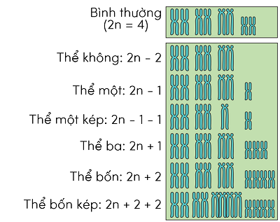 khoa học tự nhiên 9, đột biến lệch bội nhiễm sắc thể olm