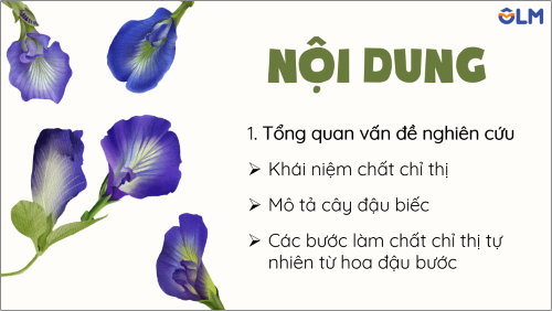 Khoa học tự nhiên 9, trang nội dung bài thuyết trình một vấn đề khoa học, olm