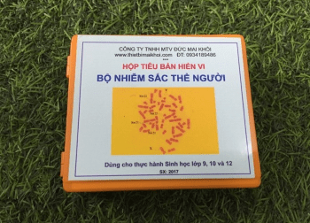 Khoa học tự nhiên 9, tiêu bản nhiễm sắc thể người, olm