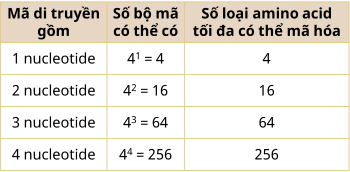 khoa học tự nhiên 9, tính số bộ mã di truyền olm