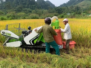 Công nghệ 11, bảo dưỡng máy gặt, olm