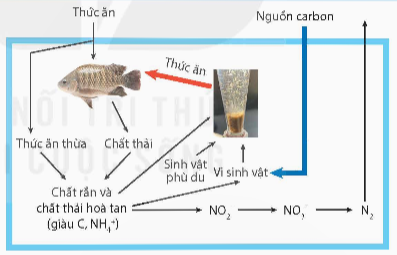 Công nghẹ 12, nguyên lí, olm