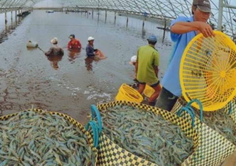 Công nghệ 12, tạo công ăn, việc làm, olmc là